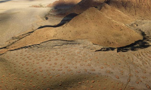 Ведьмины кольца: откуда круги в пустыне Намиб