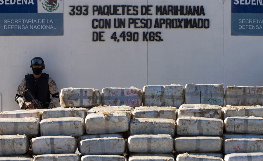 Тихуана Год спецоперации: 2009 Суммарный вес конфиската: 30 тоннСостав: марихуана Подземные туннели, превращенные умельцами в настоящие оранжереи, обнаружили в своем городе мексиканские наркополицейские. В результате операции было изъято более 30 тонн уже подготовленной к употреблению марихуаны на общую сумму в 20 миллионов долларов.