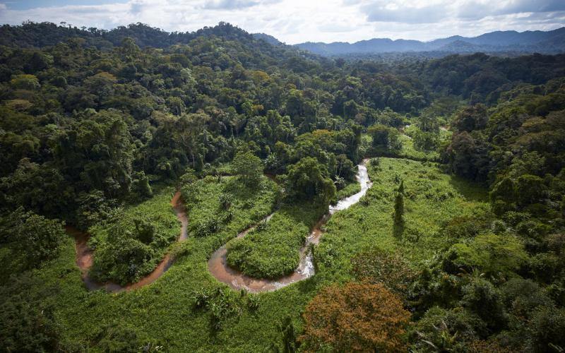 Белый город: затерянный мир нашли под джунглями Центральной Америки