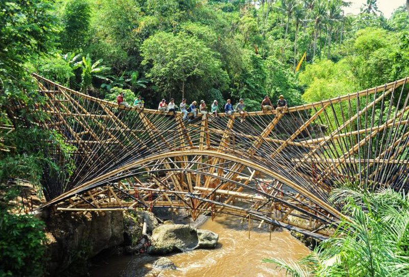 Невероятная бамбуковая архитектура