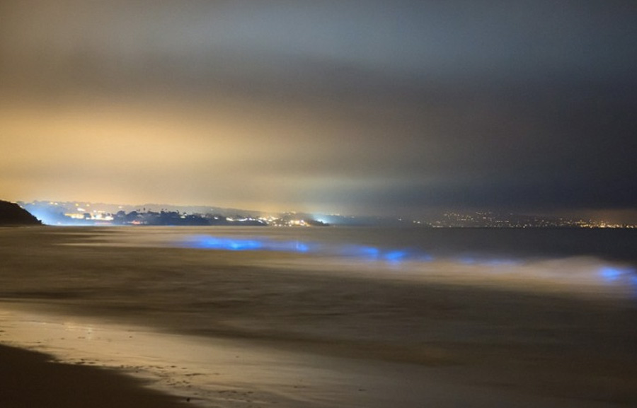 Карлсбад, штат Калифорния, США 
Неоновые синие волны можно наблюдать и у пляжей Калифорнии. В определенный период у берега скапливается фитопланктон. При движении волн, когда волна накатывает на берег, образуется свечение.