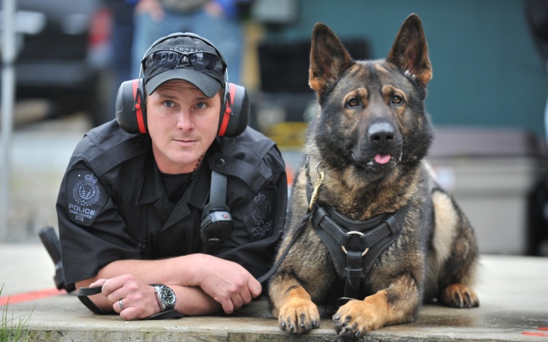 5 главных правил полицейской собаки
