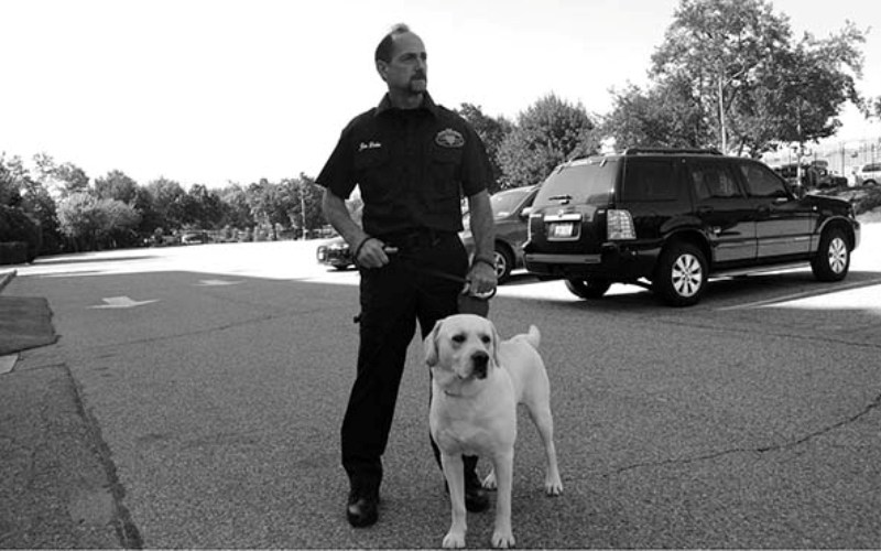 5 главных правил полицейской собаки