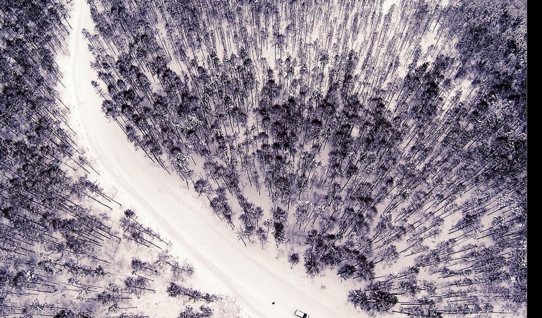 Замороженные лесНерюнгри, Россия