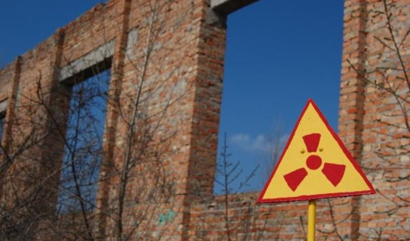 Ядерная корзина: что растет в Чернобыле