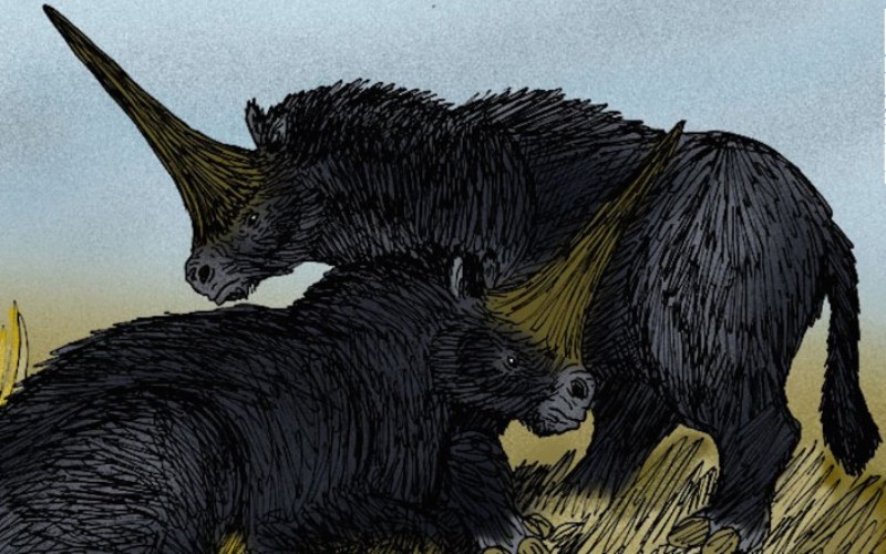 Cибирский единорог: существо, найденное в вечной мерзлоте