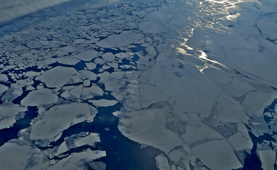 Северный полюс движется: чем это грозит миру