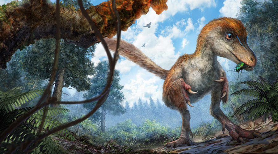 Cтранный динозавр поставил ученых в тупик