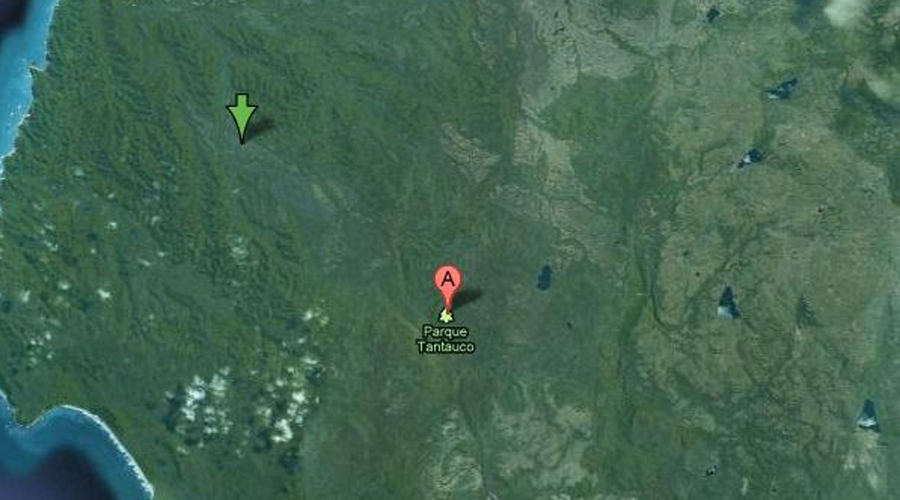 Национальный парк Тантауко
Национальный парк Тантауко в Чили можно увидеть на онлайн-карте только как маркер. Почему? Здесь, в частном природном заповеднике ученые уже не один раз находили неизвестных доселе животных. Считается, что место это остается домом для многих исчезающих видов, но откуда они там вообще взялись? И зачем скрывать карту?