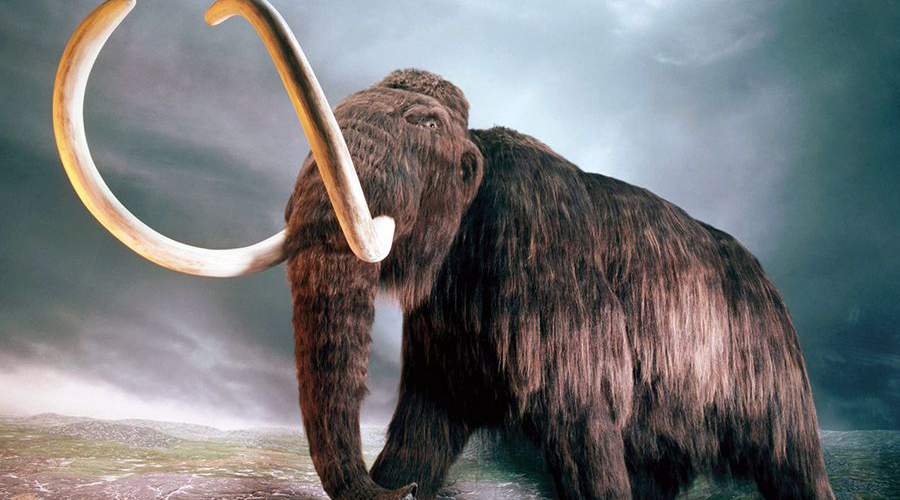 10 доисторических животных, которых могут воскресить уже завтра