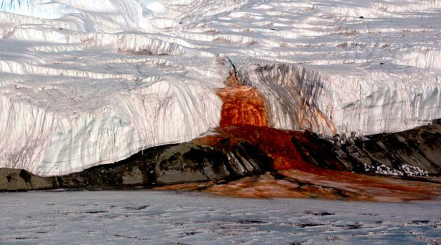 10 шокирующих находок ученых в Антарктиде