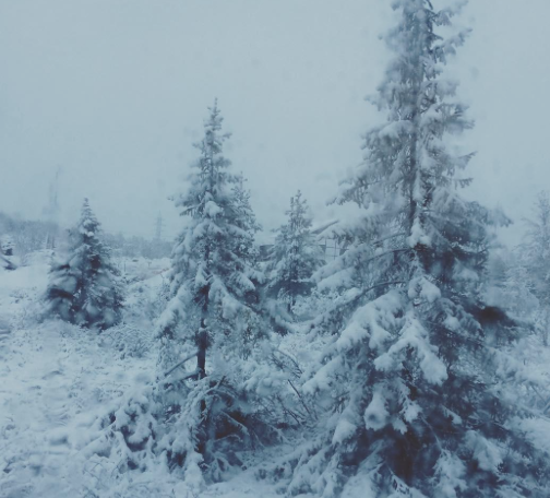 Снежное лето: Мурманск замерзает в июне