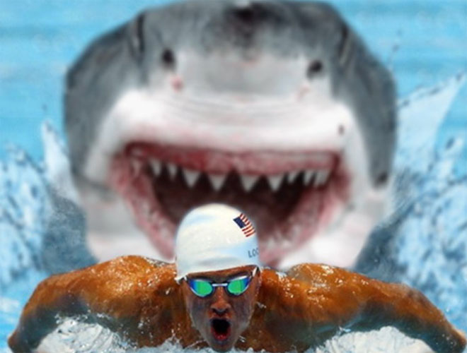 Смотрите, чем закончилась смертельная гонка белой акулы и лучшего пловца мира