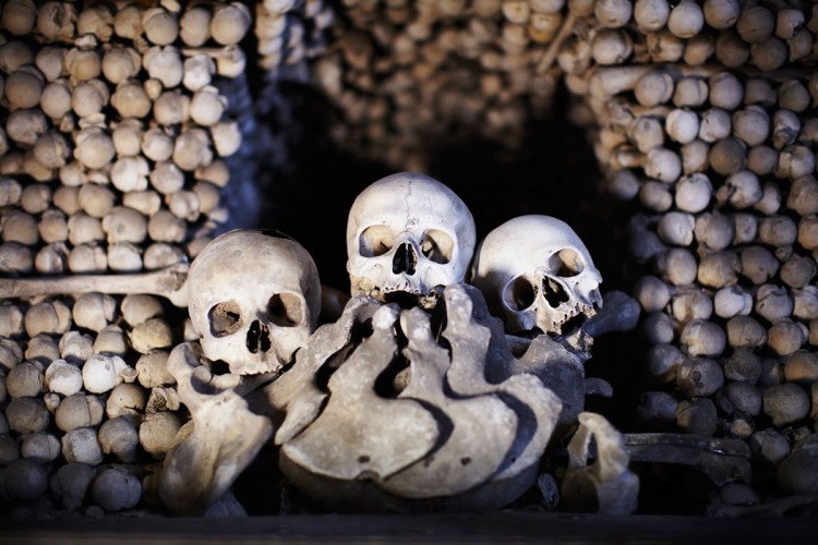 Империя смерти: мрачные тайны парижских катакомб