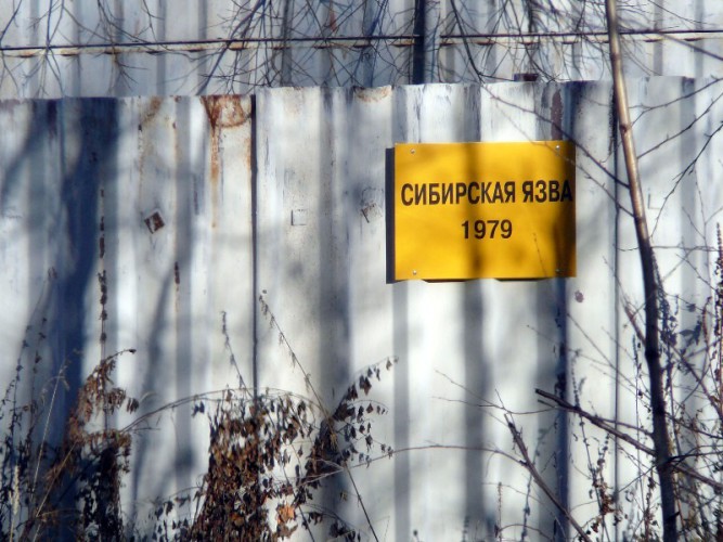 Красная смерть: вся правда об эпидемии сибирской язвы в СССР
