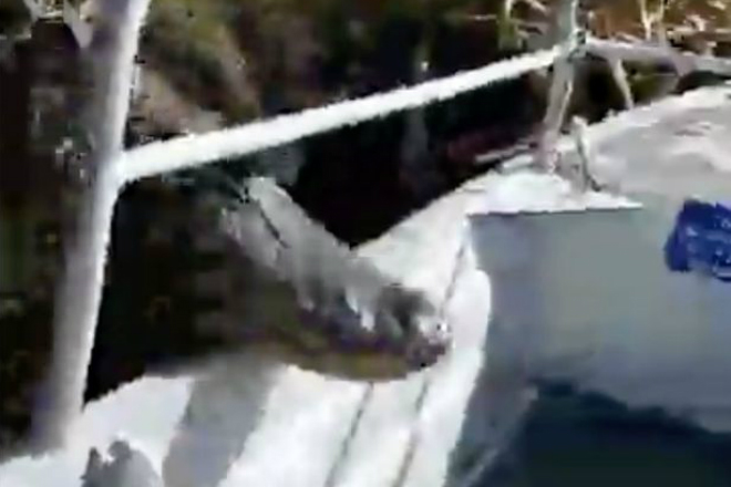 Аллигатор внезапно прыгнул в лодку с туристами и превратил обычную прогулку в смертельный номер