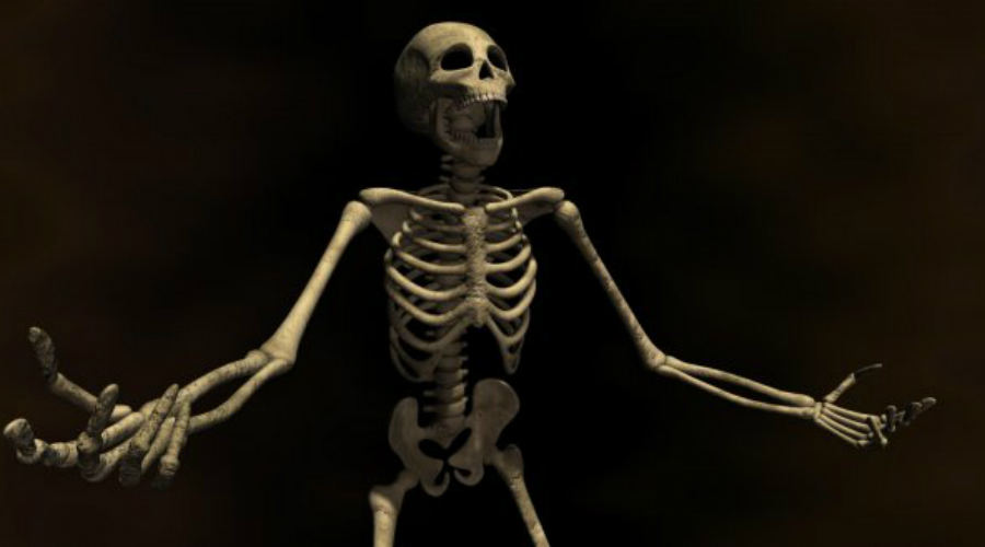 Купи кости: зачем в 19 веке торговали человеческими останками