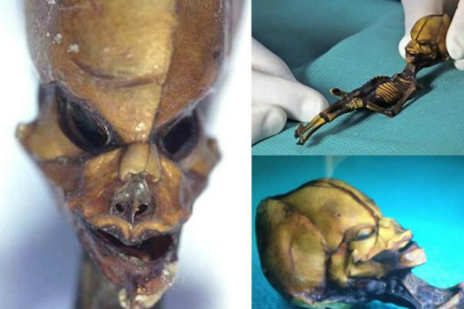 Пришелец из пустыни Атакама: что на самом деле скрывает таинственная мумия