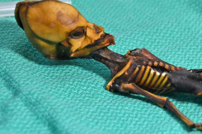 Пришелец из пустыни Атакама: что на самом деле скрывает таинственная мумия
