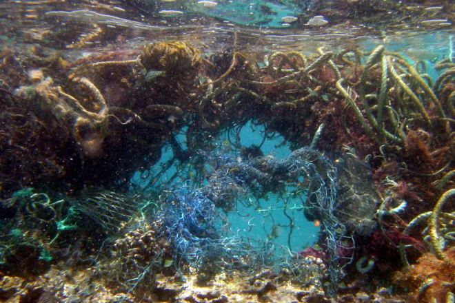 Тихоокеанское мусорное пятно: плавающая куча мусора больше Франции