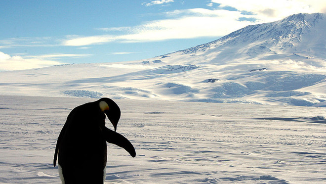 Под льдами Антарктиды найдено более 100 вулканов. Что будет если они проснутся