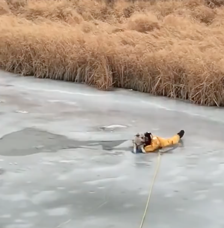 Герой-пожарник рискует жизнью спасая собаку на тонком льду