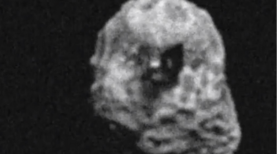 Астероиды, способные сжечь нашу Землю дотла