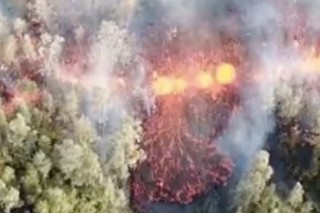Огненная река прожигает себе путь через вековой лес: видеосьемка с дрона