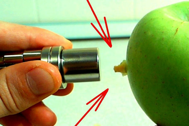 Подносим магнит к яблоку: ищем железо внутри