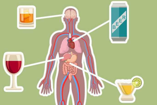 Как алкоголь меняет ваше тело навсегда