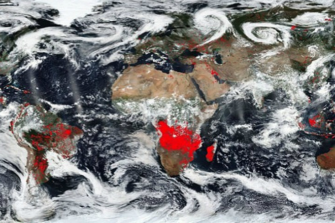 НАСА показали все пожары на Земле на одной карте