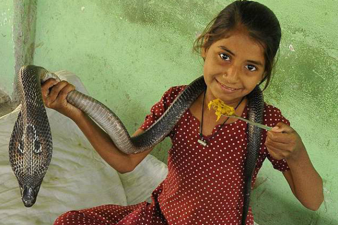 Девочка-кобра из Индии живет со змеями
