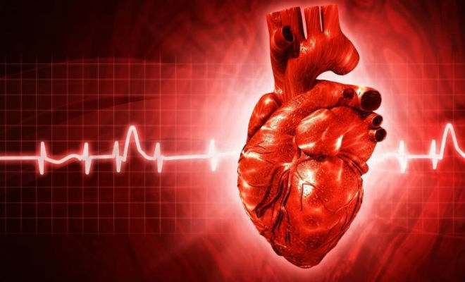 Сохраняем сердце здоровым: ученые назвали простой способ