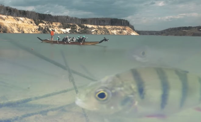 Ловим рыбу на валерьянку: подводная съемка