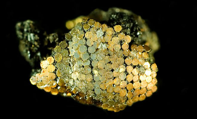 Кинжал из 140 000 золотых кусков: ученые проникли в тайну возрастом 4000 лет