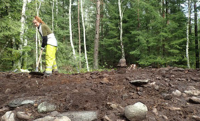 Алтарь возрастом 3000 лет: в Швеции нашли камень для тайных церемоний