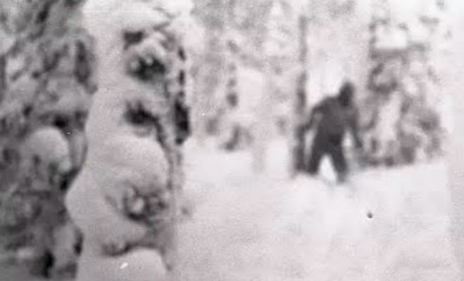 Перевал Дятлова: ученые проверили теорию о снежном человеке