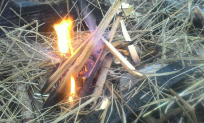 Добываем огонь в сыром лесу