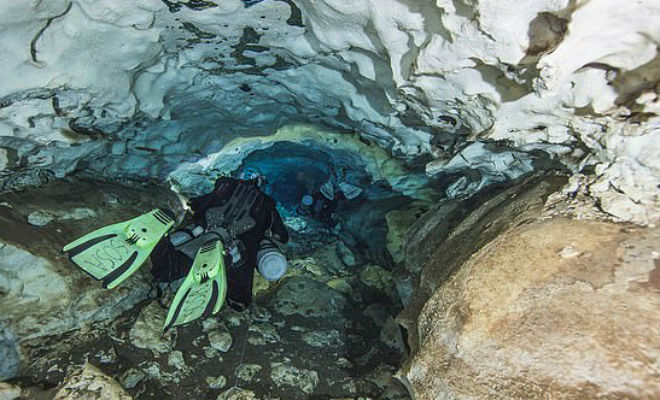 В мексиканской пещере нашли зуб мегалодона
