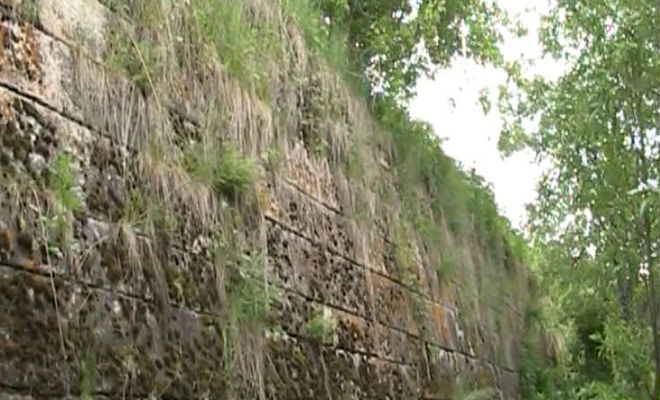 Стена в глухой тайне: каменный вал встал посреди леса