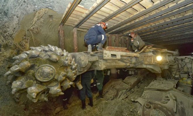 Находки из угольных шахт, которые скрывают ученые