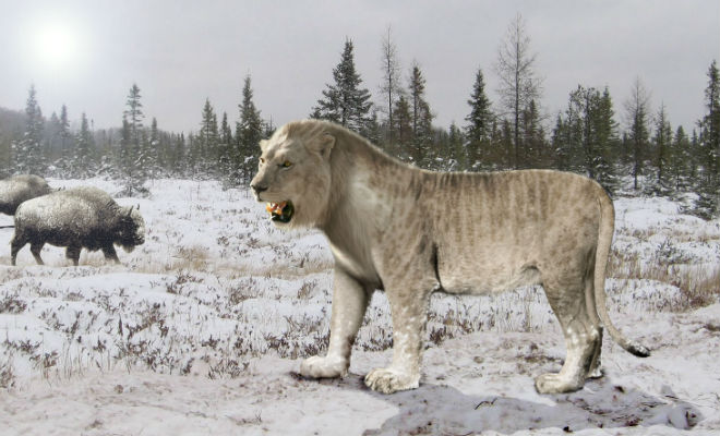 Львы в Якутии: вечная мерзлота раскрыла старые тайны