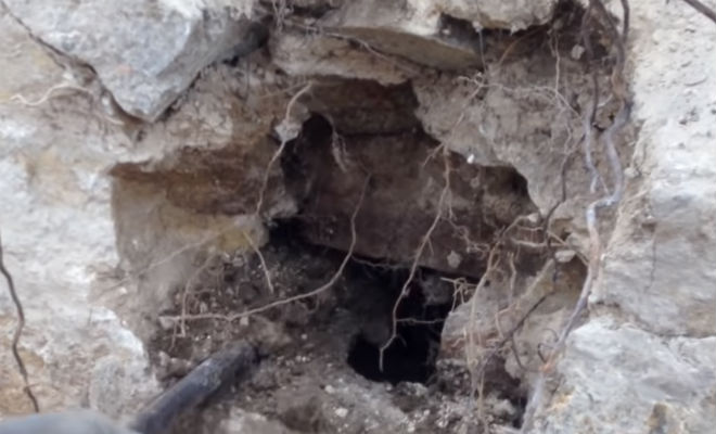Панский клад: 5 лет искали погреба с золотом и наконец нашли