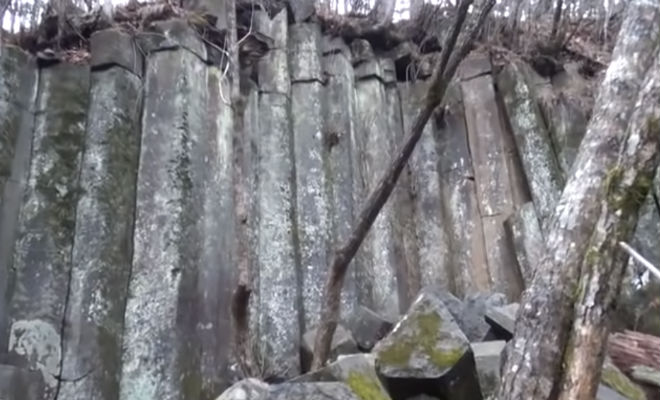 Стена в глухой тайне: каменный вал встал посреди леса