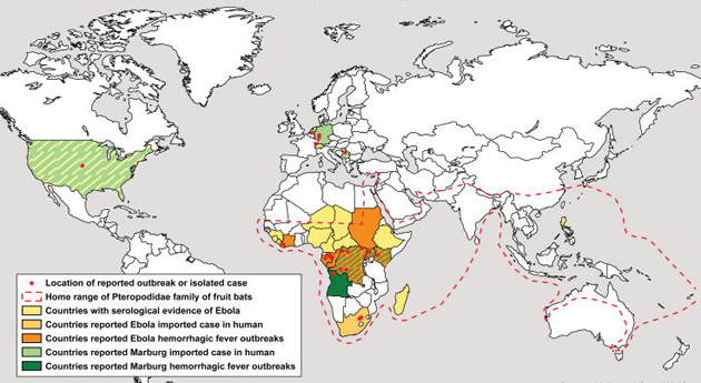 Африканский палач Эбола