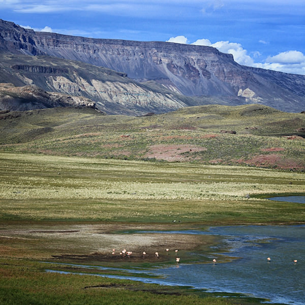 В 2015 году 650 000 акров чилийских гор и лугов усилиями Дугласа Томкинса и его супруги Крис обещают стать «Национальным парком Патагонии», очередным райским местом для искателей приключений со всего мира.