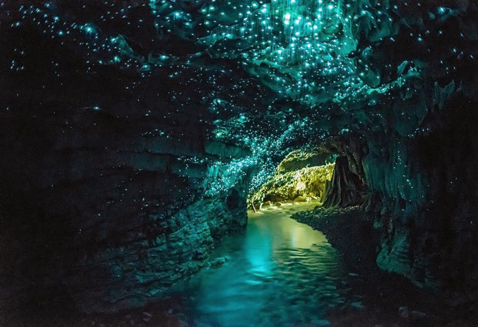 Пещера Светлячок, Новая Зеландия