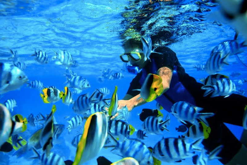 Пляж Матира, Бора-Бора, Французская Полинезия Все главные достопримечательности Бора-Бора располагаются под водой. В лагуне острова обитают самые разные представители морской тихоокеанской фауны. Одних только тропических рыб здесь насчитывается более 1000 видов. Видимость воды составляет от 30 до 50 метров, что создает идеальные условия для снорклинга.