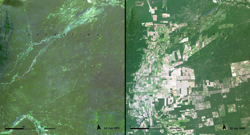 Вырубка лесов
Лес Сальта, Аргентина 
Слева: 1972 год 
Справа: 2009 год