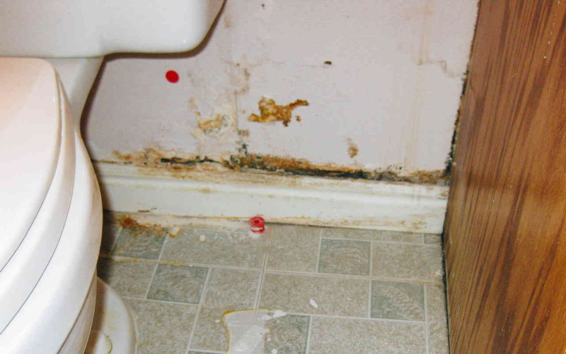 За туалетом
Уровень опасности: максимальный
Бактерии, культивируемые в ванной, поступают сюда из самых разных мест. Спустили воду, не закрыв крышку? Поздравляем, теперь все микробы из унитаза радостно парят по всей территории санузла. Уделите этой маленькой, но важной комнате особое внимание при еженедельной уборке. И, конечно, не забывайте опускать крышку — здоровее будете.